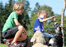 Urlaub mit Kinder am Bauernhof mit Ziegen und Schafe