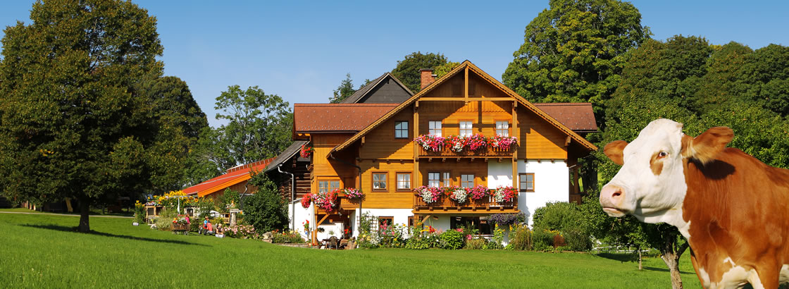 Urlaub am Bio-Bauernhof Brandlhof in Ramsau am Dachstein in der Steiermark in Österreich